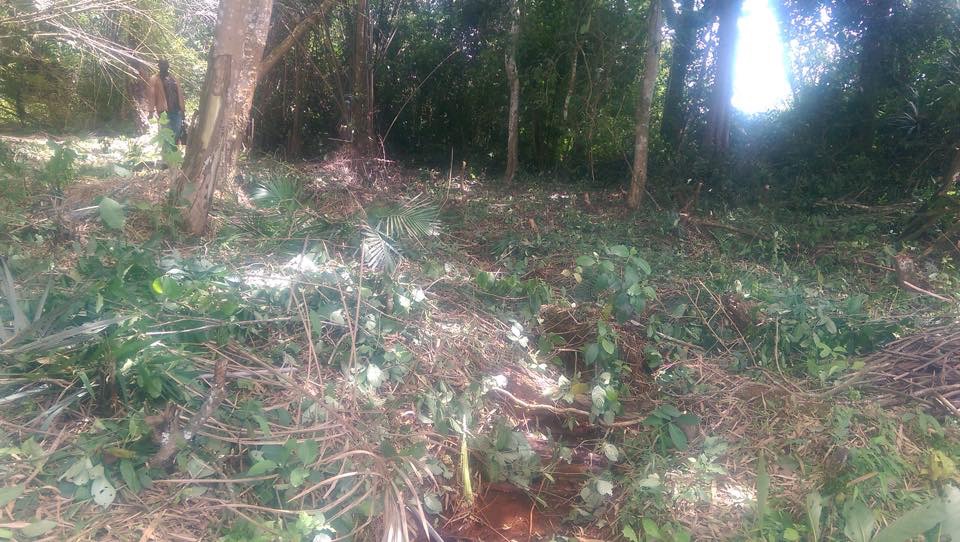 Cours d'eau servant à alimenter le captage