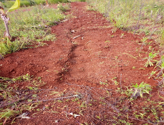 tranchée montée Ecole publique