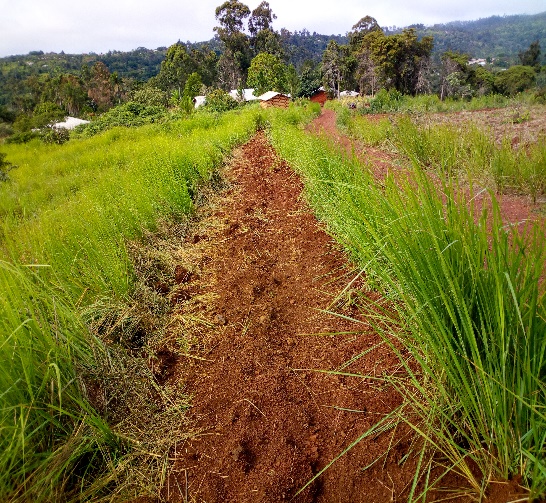 tranchée montée Noumka